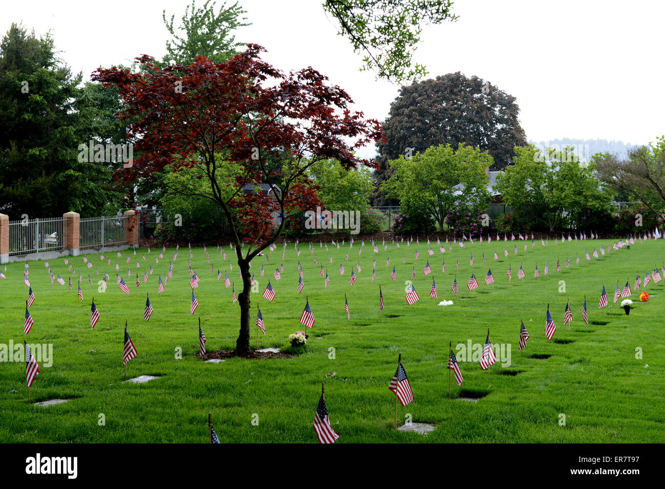 Memorial Day Flags At Willamette National Cemetery, Portland, Oregon