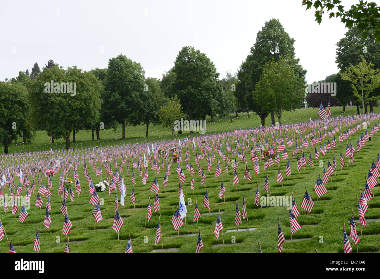 Memorial Day Flags At Willamette National Cemetery, Portland, Oregon