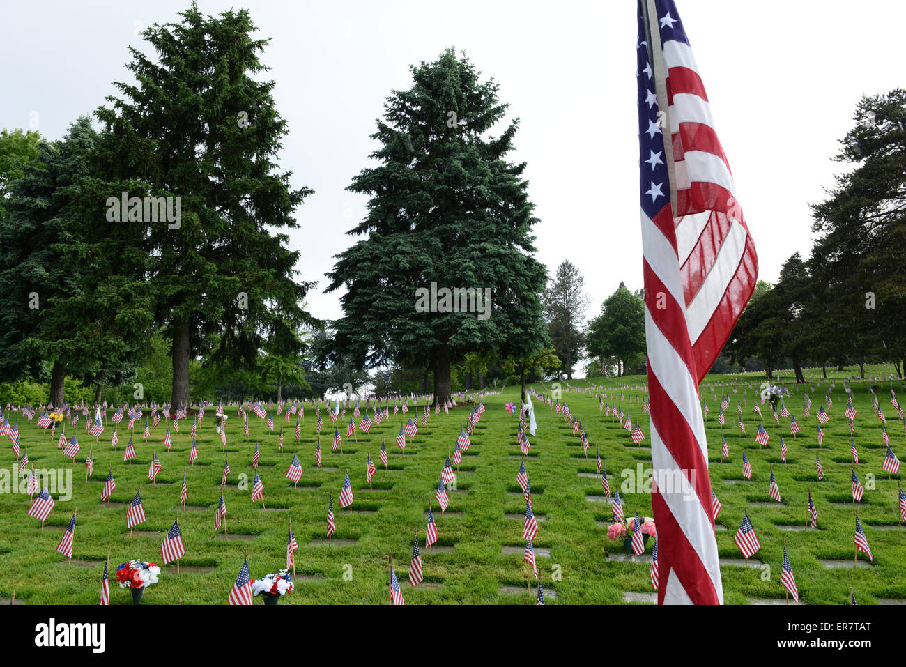 Memorial Day Flags At Willamette National Cemetery, Portland, Oregon