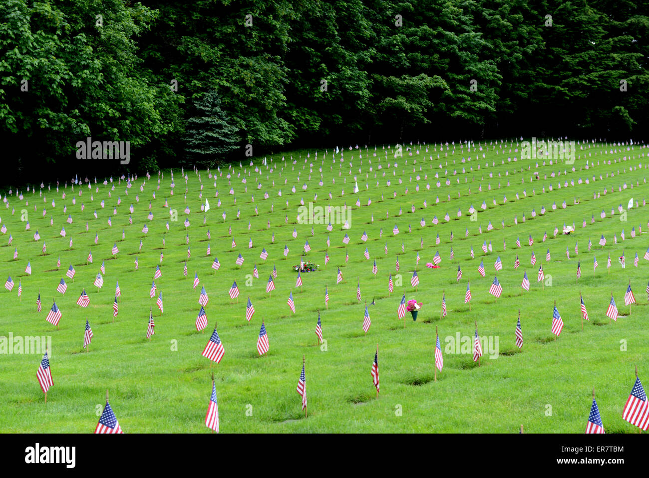 Memorial Day Flags At Willamette National Cemetery, Portland, Oregon