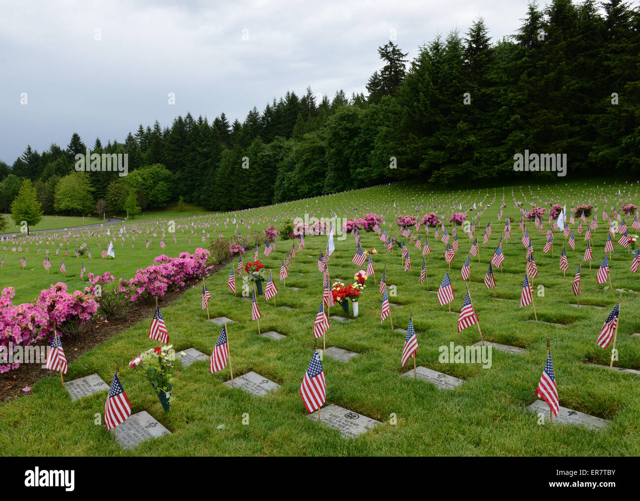 Memorial Day Flags At Willamette National Cemetery, Portland, Oregon