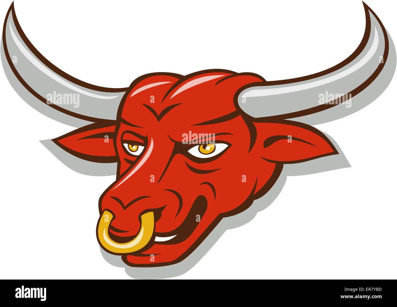 Illustration of a texas longhorn bull head with nose ring set on isolated  white background done in cartoon style Stock Photo - Alamy