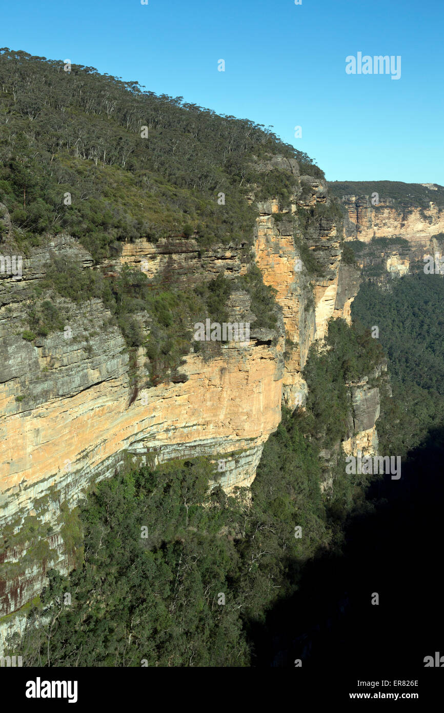 View from Queen Victoria Lookout Valley of the Waters Nature Track Blue Mountains National Park Wentworth Falls New South Wales Stock Photo