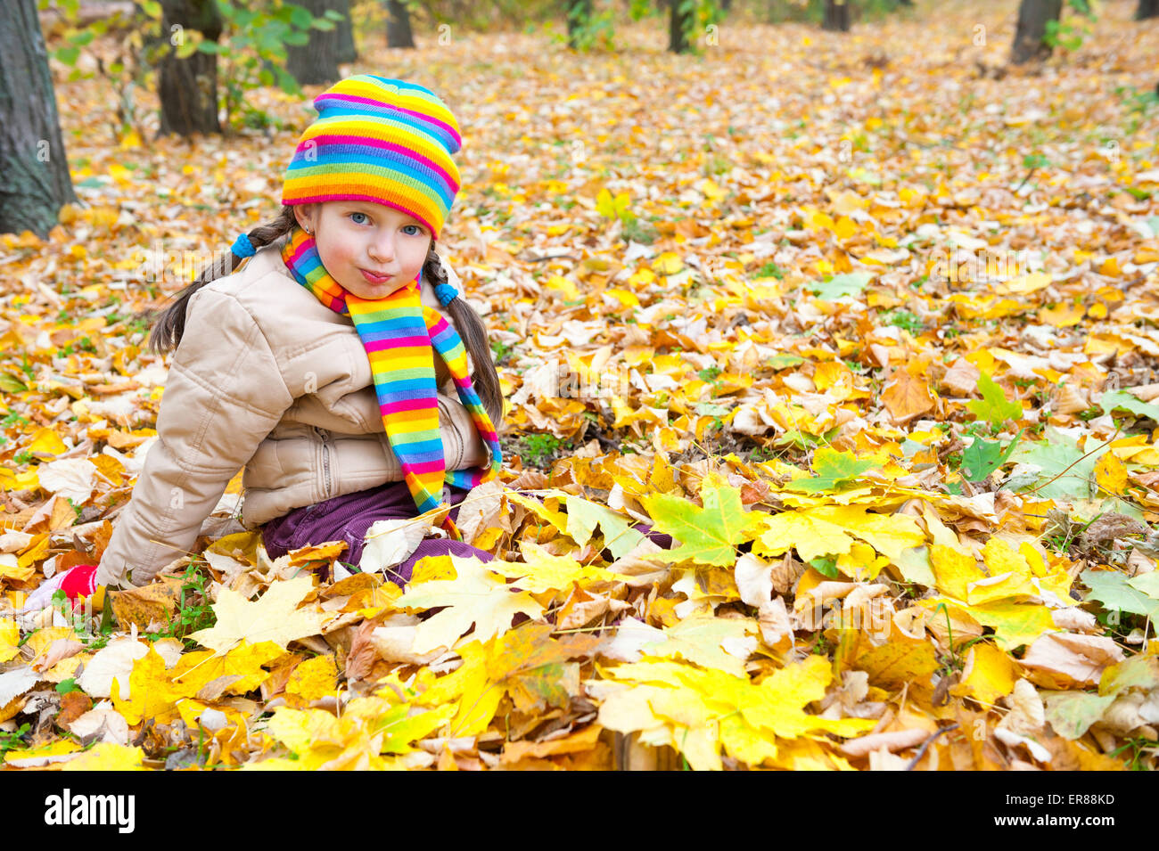 girl sit on yellow leaves in autumn park Stock Photo - Alamy