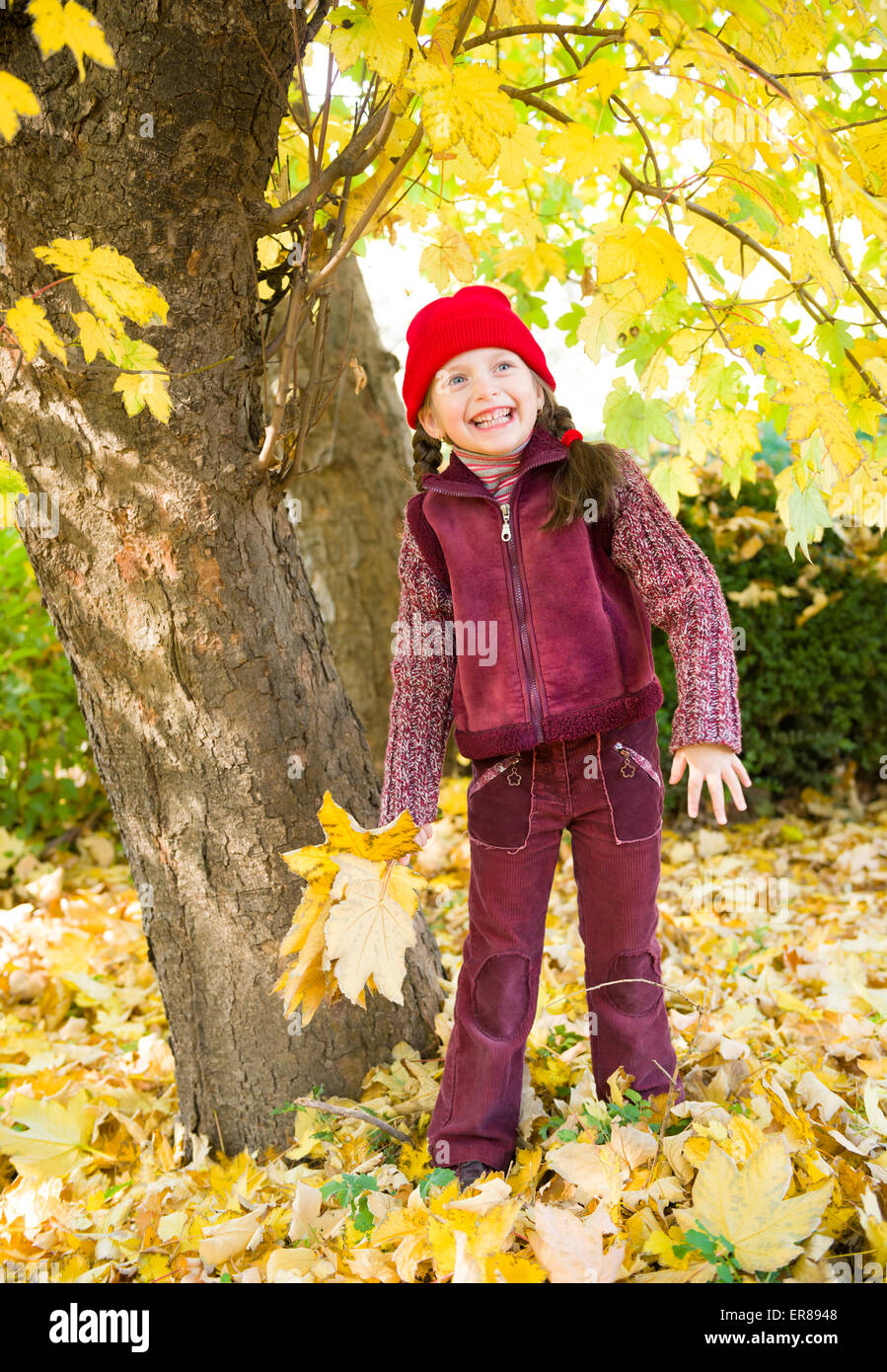 little girl in autumn park Stock Photo - Alamy