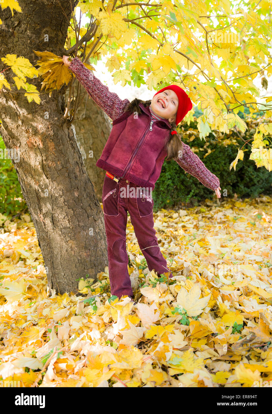 little girl in autumn park Stock Photo - Alamy