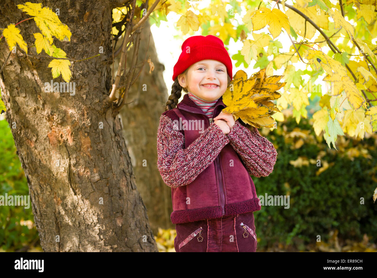 little girl in autumn park Stock Photo - Alamy