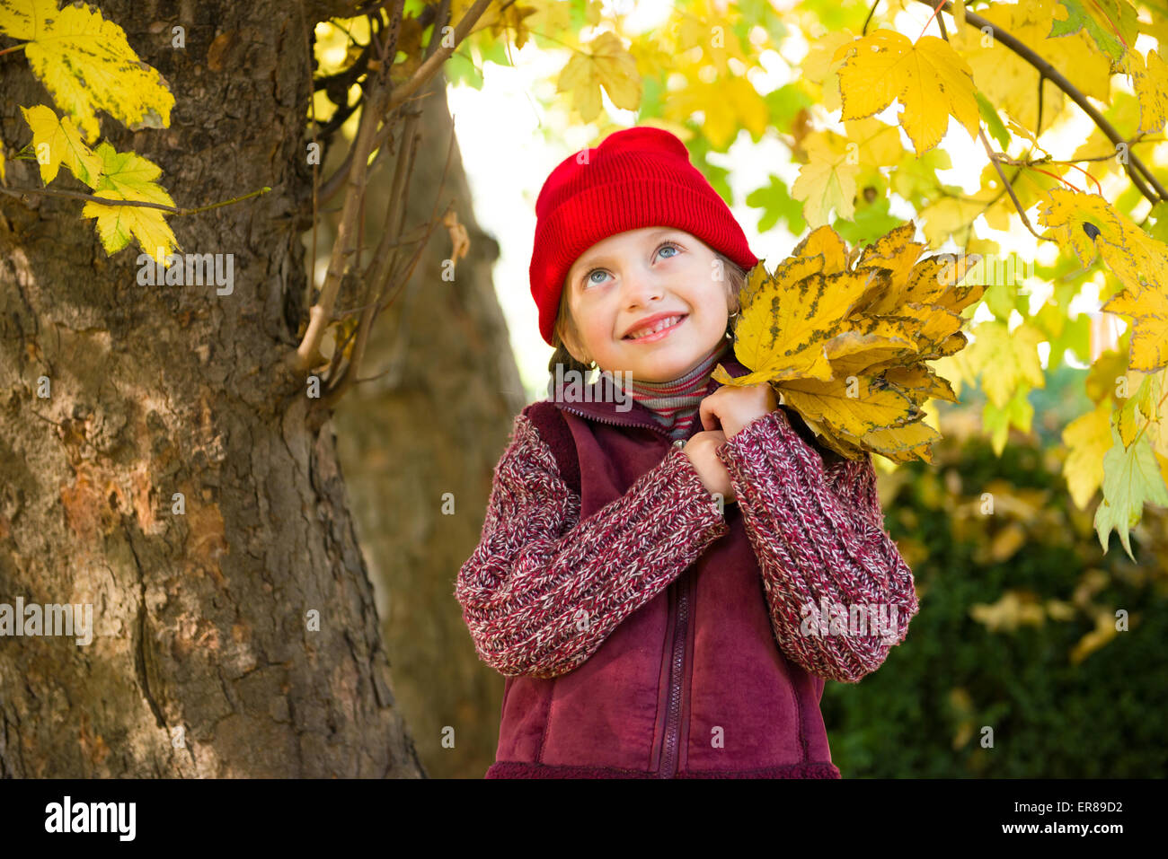 little girl in autumn park Stock Photo - Alamy