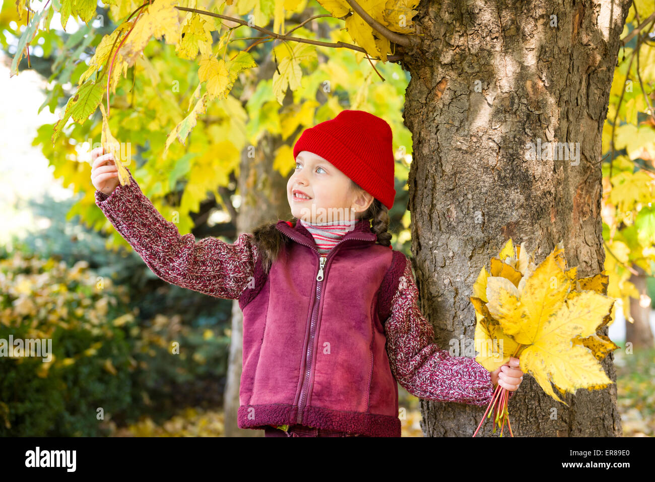 little girl in autumn park Stock Photo - Alamy