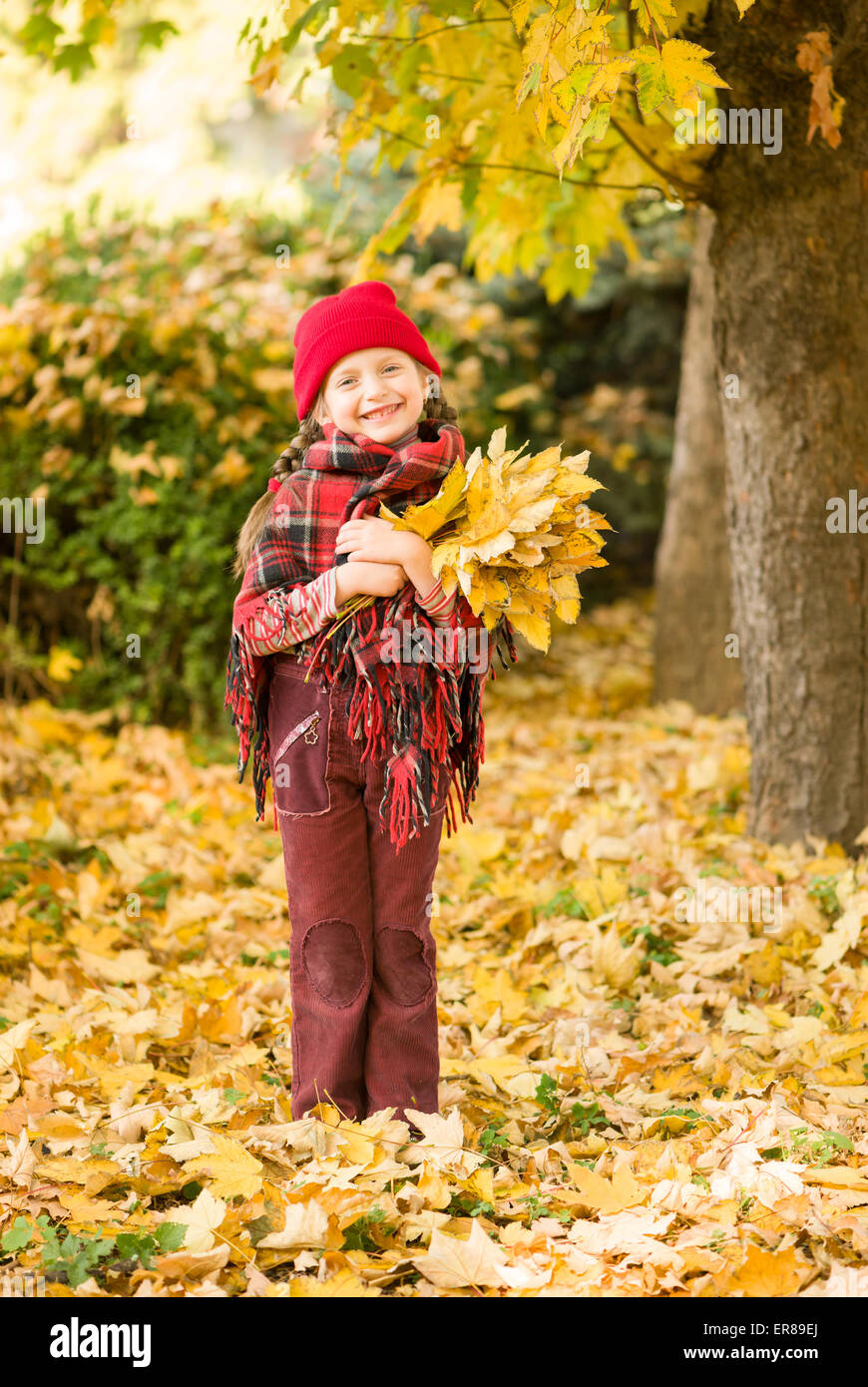 little girl in autumn park Stock Photo - Alamy