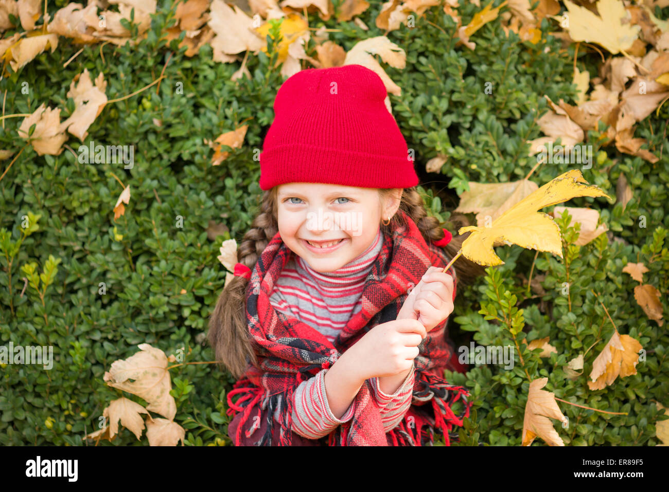 little girl in autumn park Stock Photo - Alamy