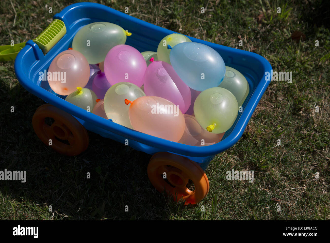 Toy wheelbarrow filled with water balloons at yard Stock Photo