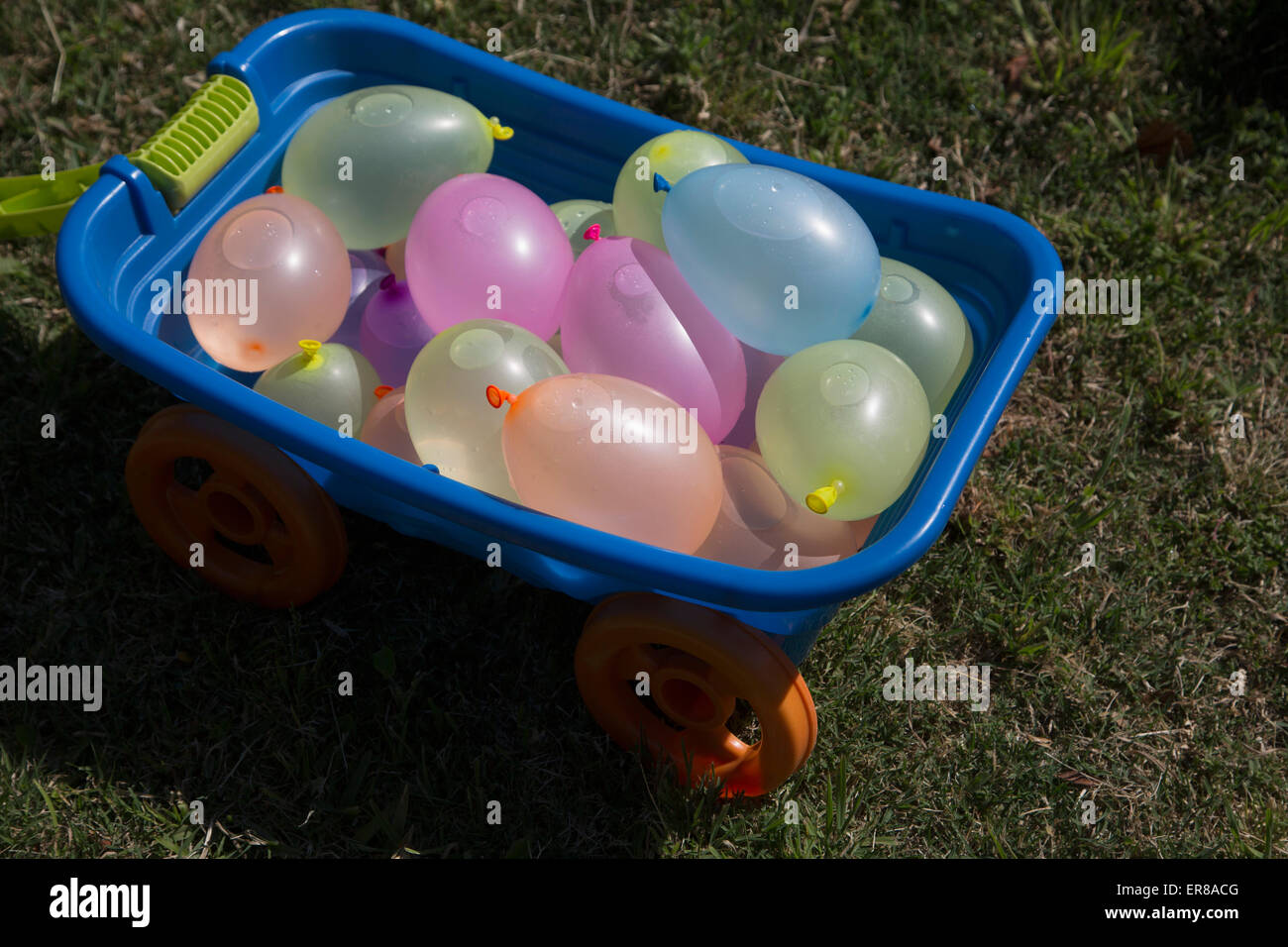 Plastic toy best sale filled with water