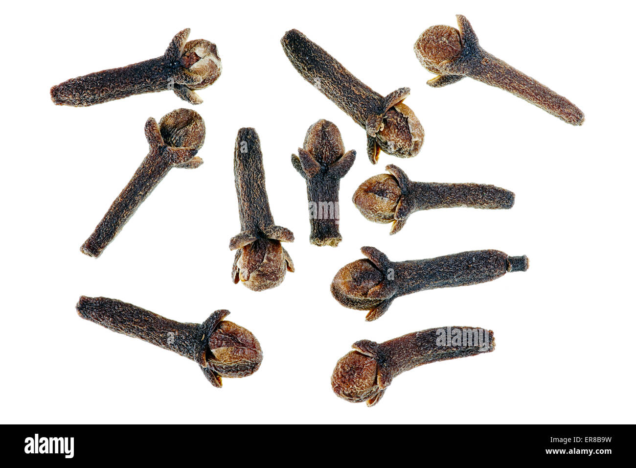 Dried Cloves. Scientific name Syzygium aromaticum Stock Photo Alamy