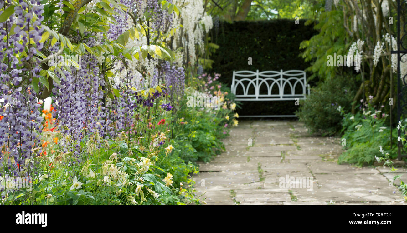 Wisteria archway in the formal garden at Waterperry Gardens, Oxfordshire, England. Panoramic Stock Photo