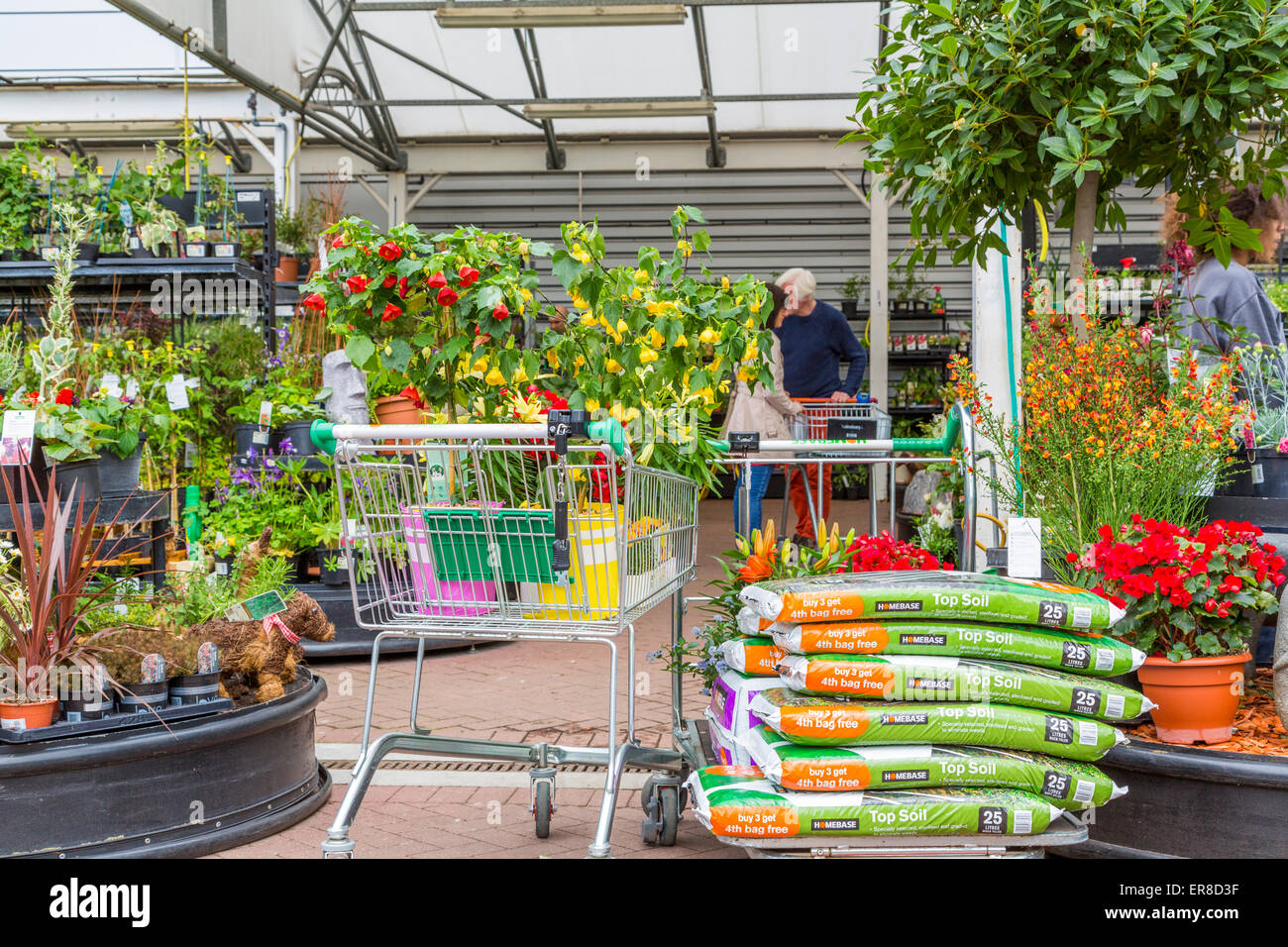 Homebase Garden Centre showing a trolley full of plants ready to buy at the busy tills, London England UK Stock Photo