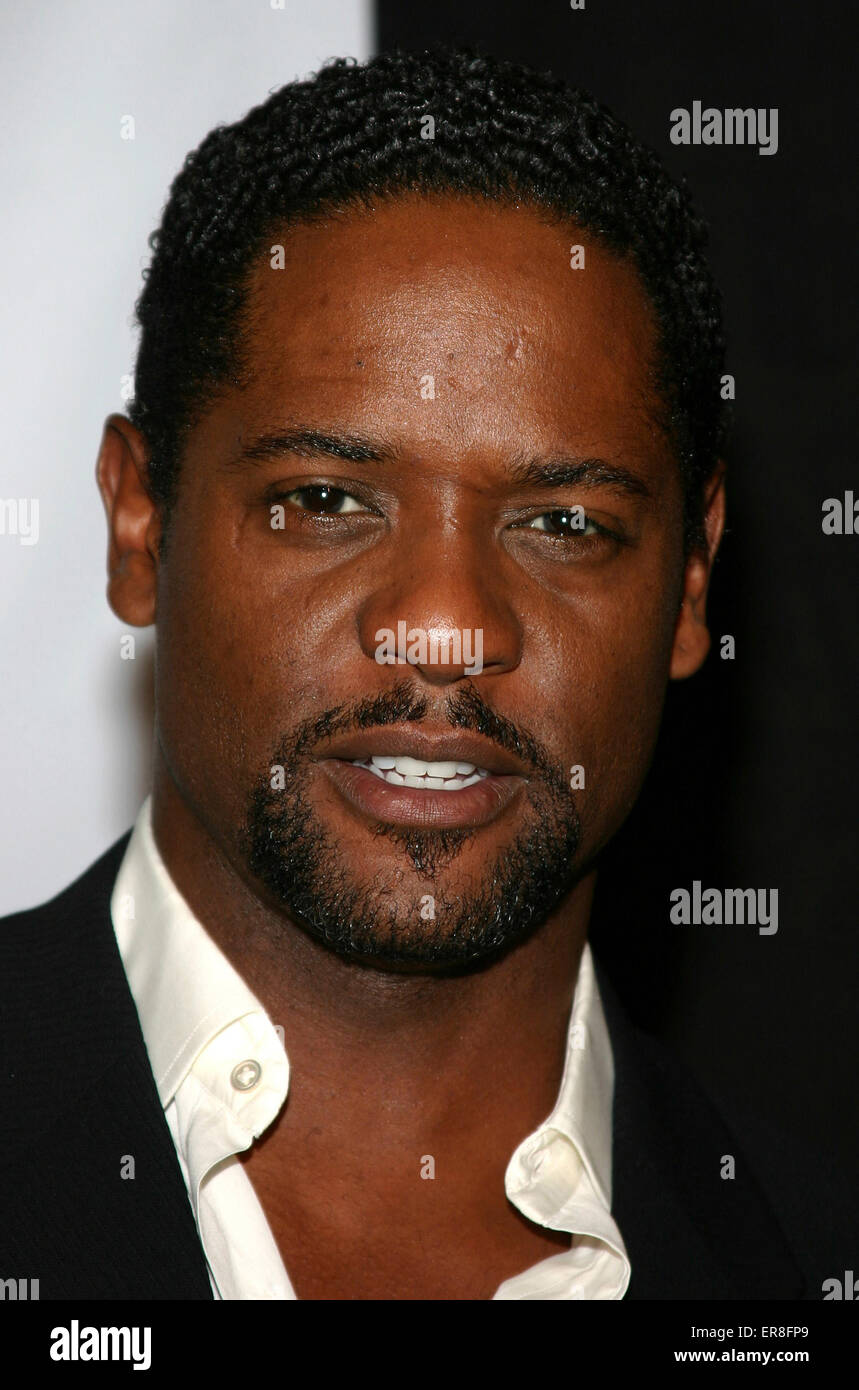 Blair Underwood attends the 19th Annual Fulfillment Fund Achievement