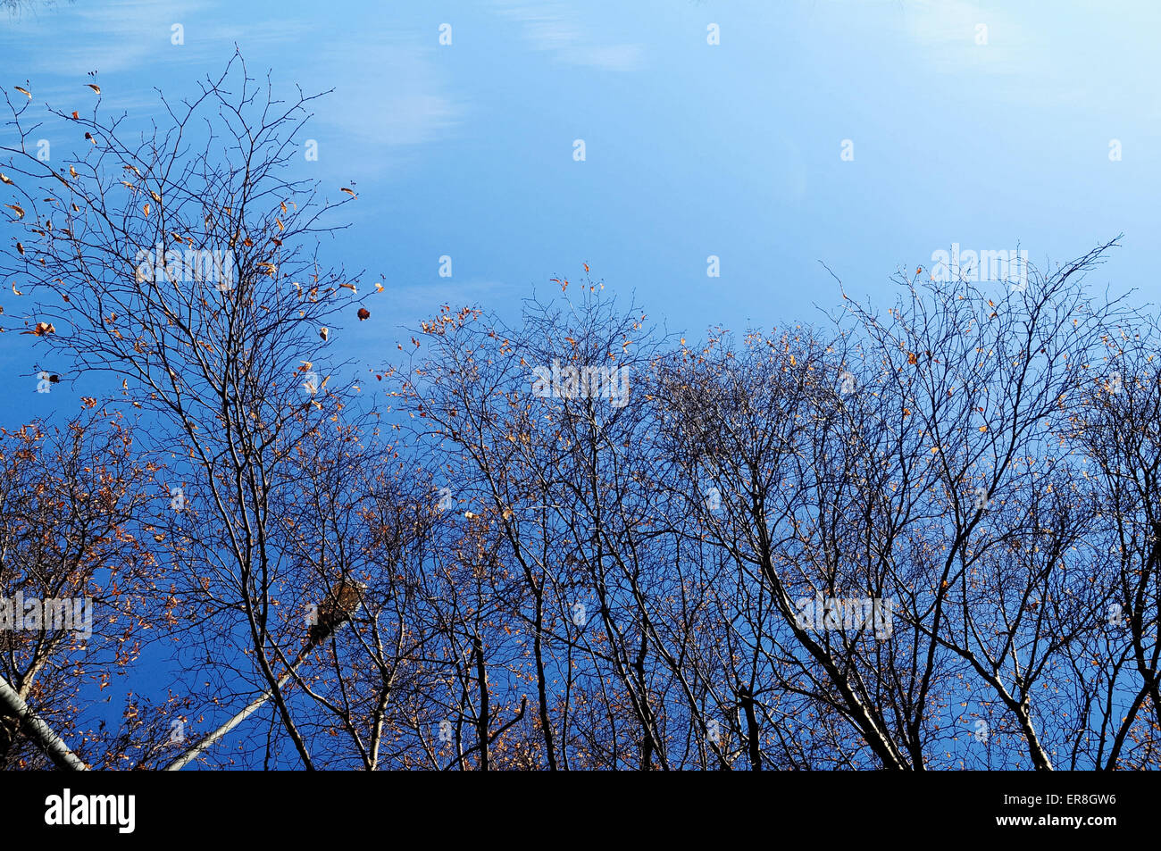 Dark blue winter sky hi-res stock photography and images - Alamy