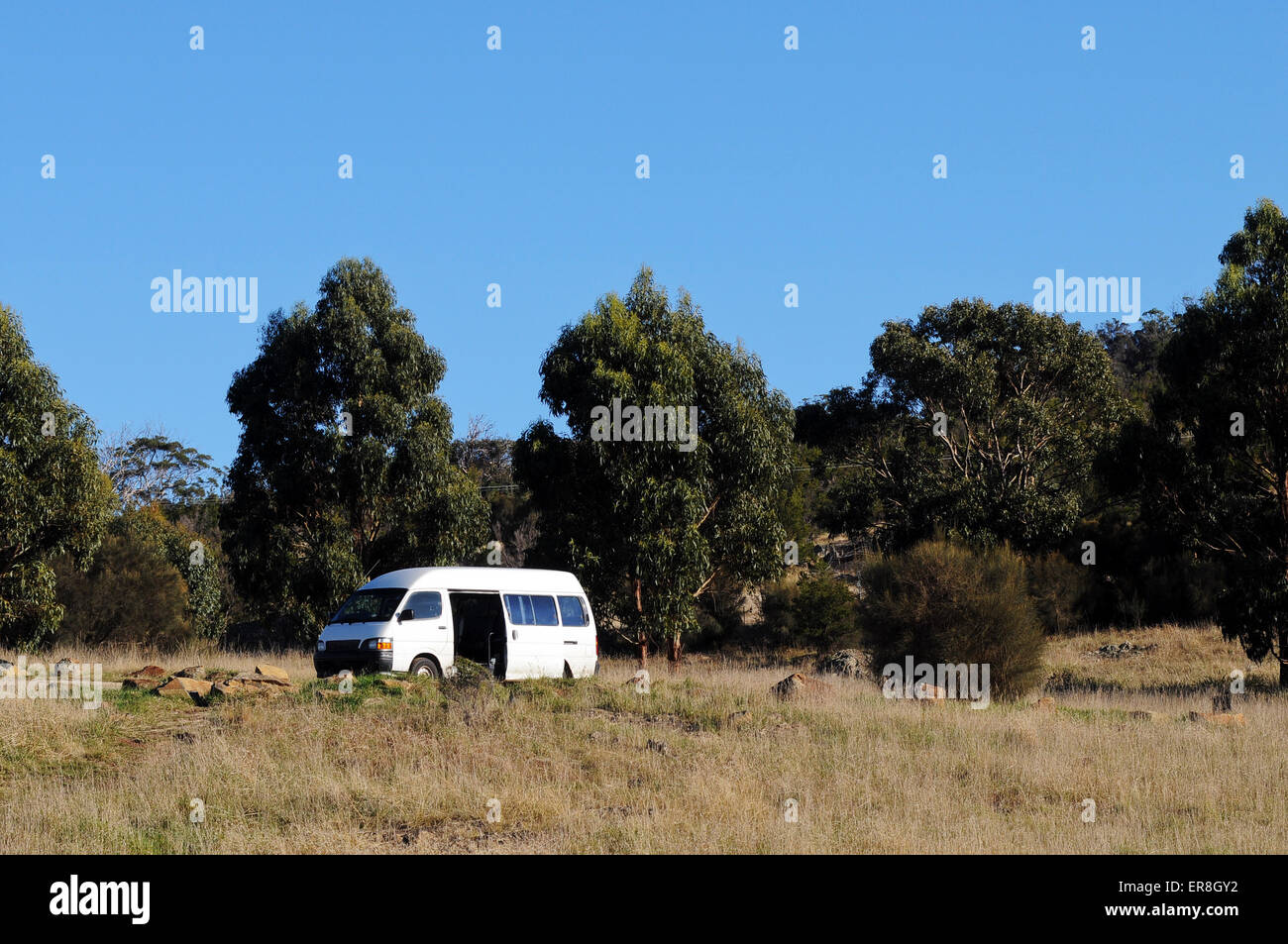 White van in dried savanna grass field Stock Photo Alamy