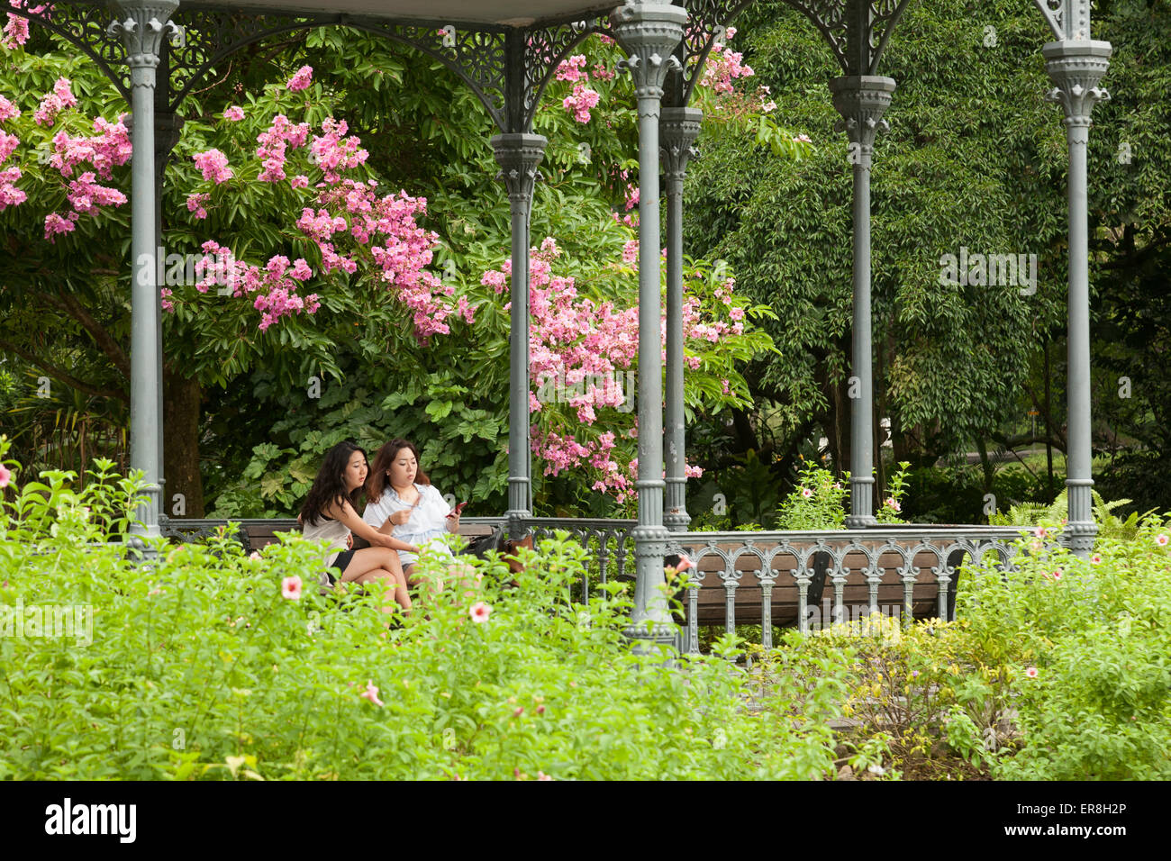 People sittingin the Singapore Botanic Gardens, Singapore south east Asia Stock Photo