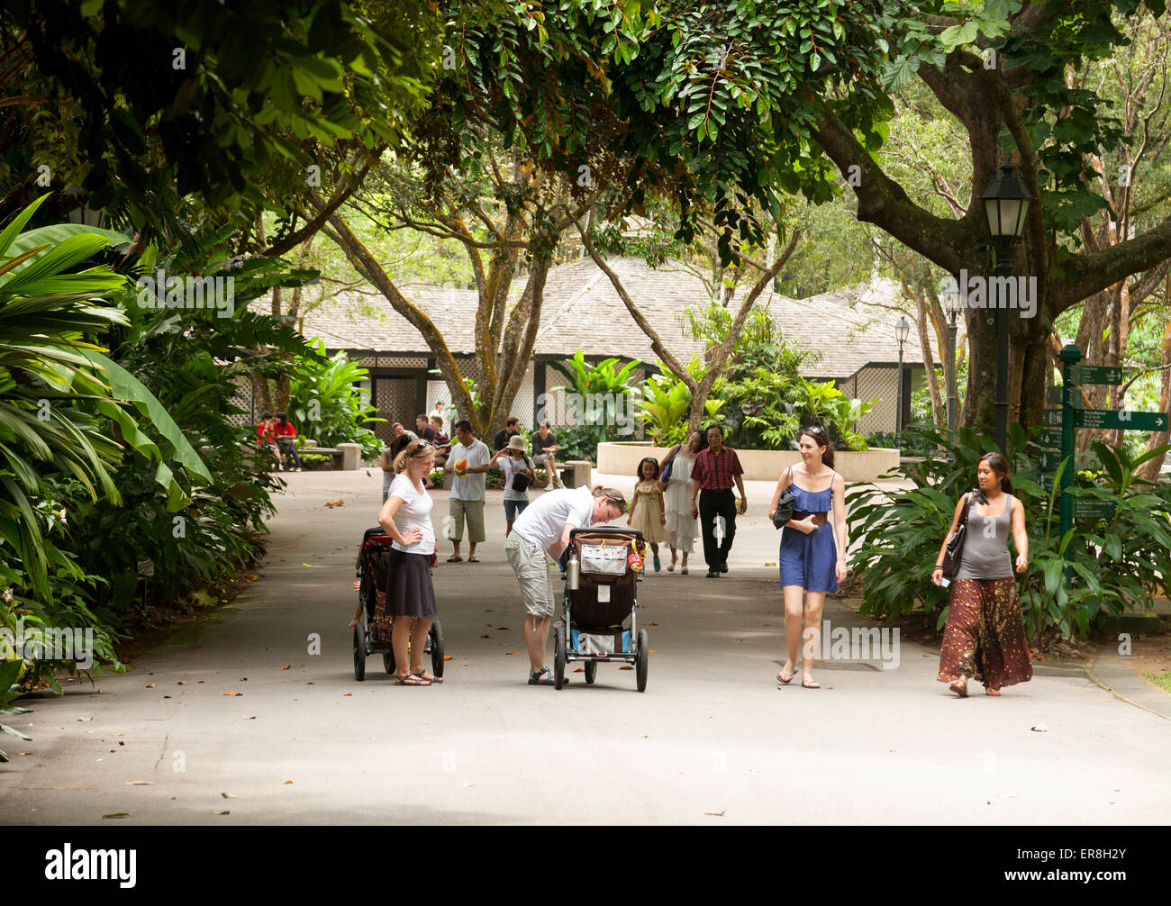 Visitors in the Singapore Botanic Gardens, Singapore south east Asia Stock Photo