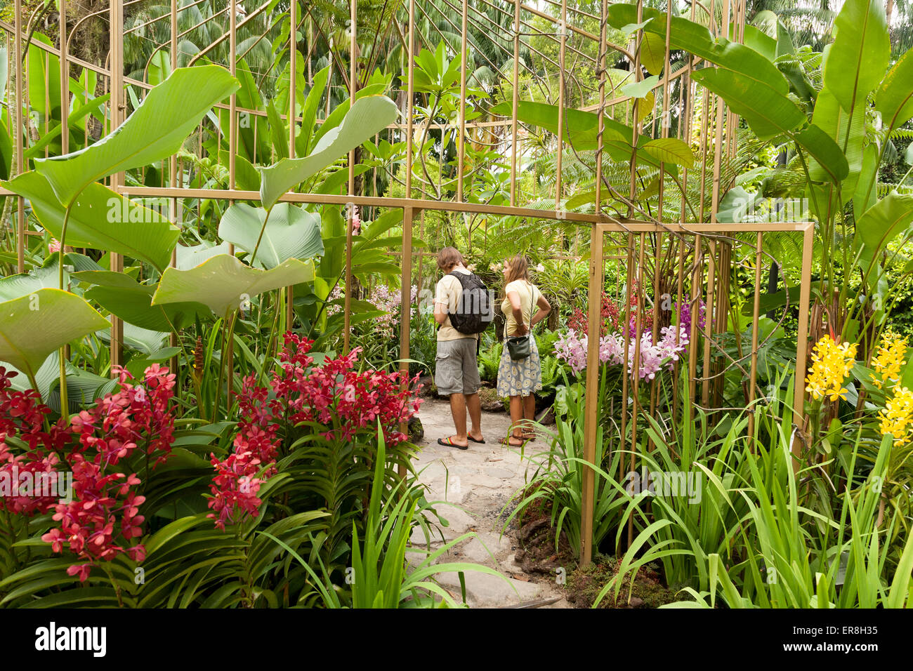 A tourist couple  looking at the orchids, National Orchid Garden, Singapore Botanic Gardens, Singapore south east Asia Stock Photo