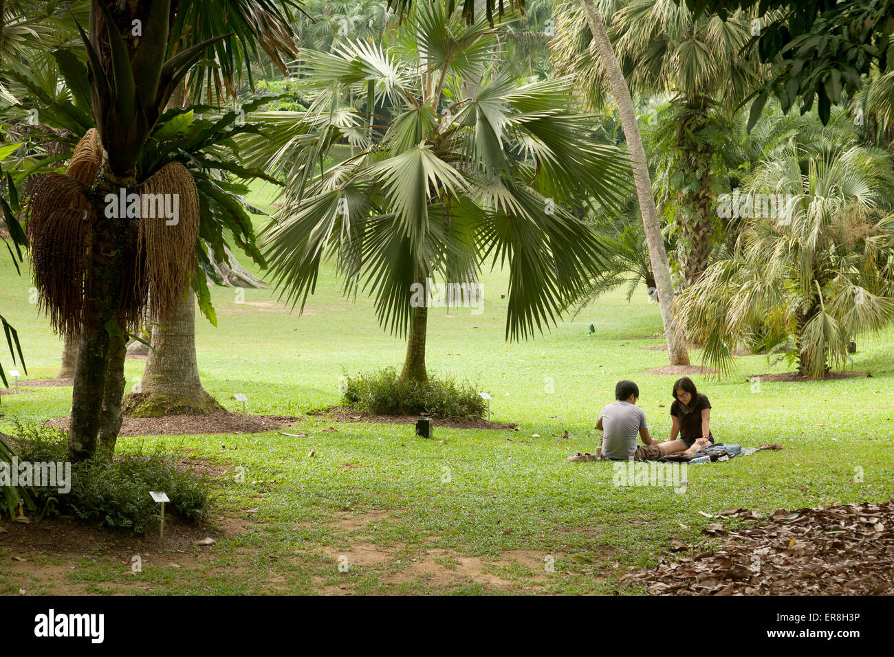 People sitting in the Singapore Botanic Gardens, Singapore, South East Asia Stock Photo