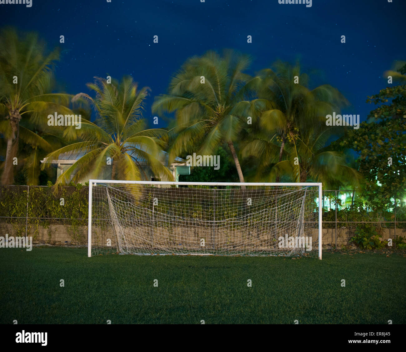 Soccer goal on field against palm trees at dusk Stock Photo