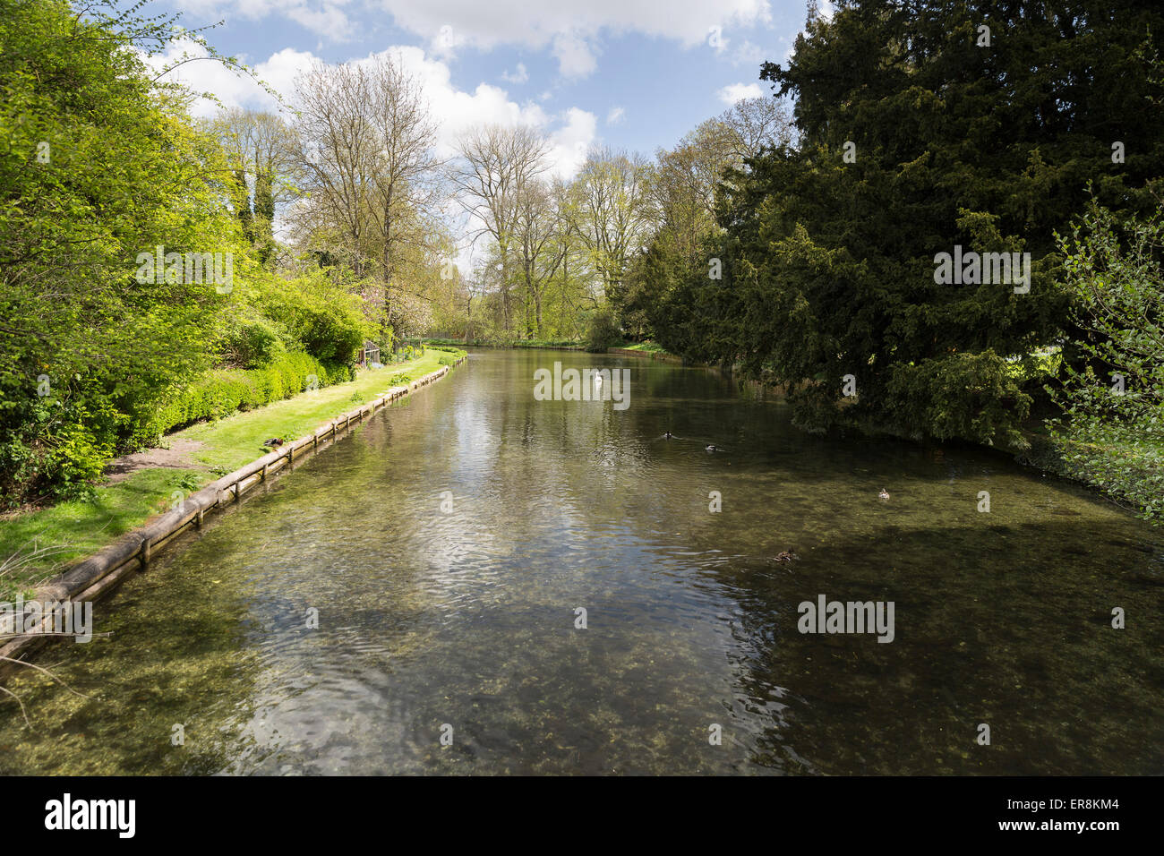 River Test at Whitchurch, Hampshire, England, UK Stock Photo Alamy