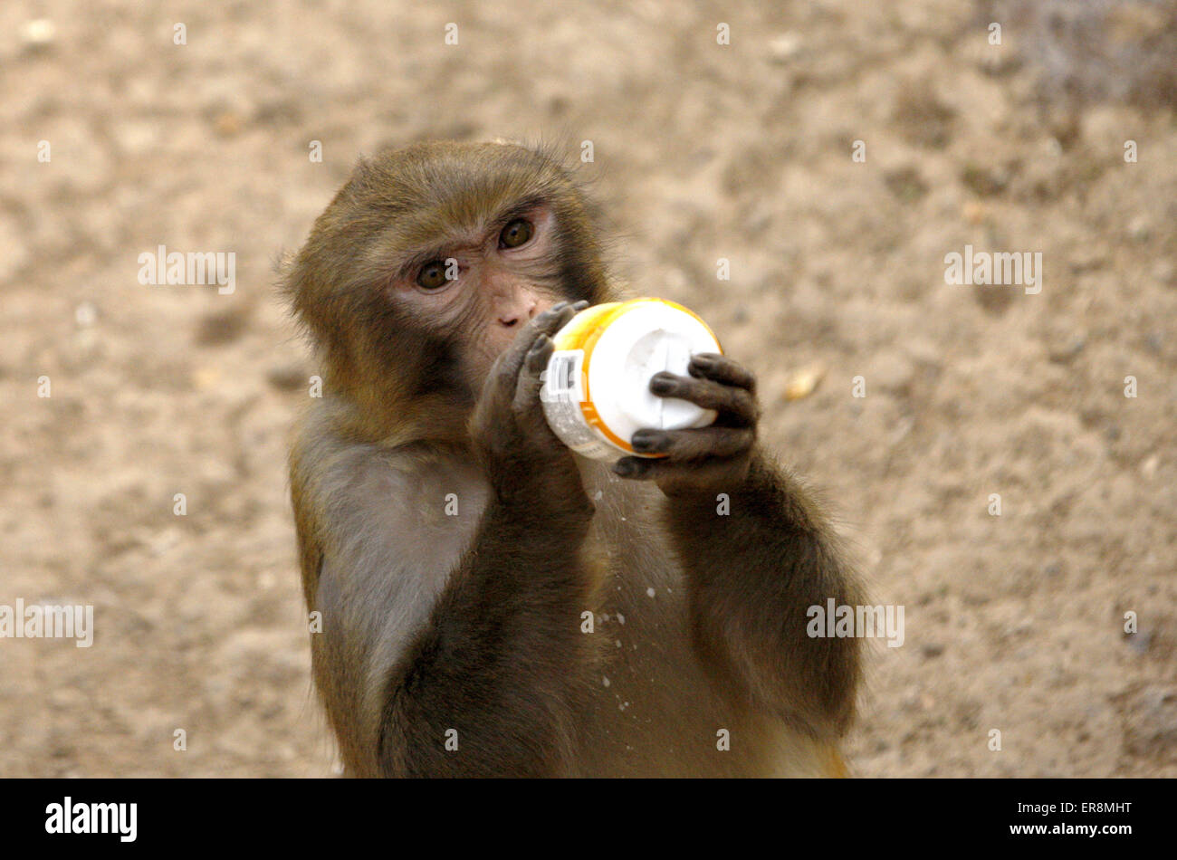 Bangladesh province hi-res stock photography and images - Alamy