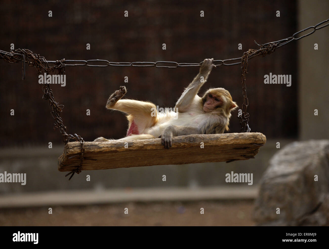 Bangladesh province hi-res stock photography and images - Alamy