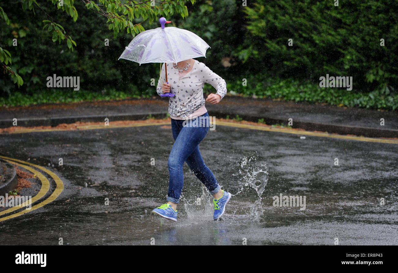 Brighton UK 26th May 2015 - A woman gets caught in torrential rain as she runs across a street in Brighton today with wet and windy weather forecast for the south east this afternoon Credit:  Simon Dack/Alamy Live News Stock Photo