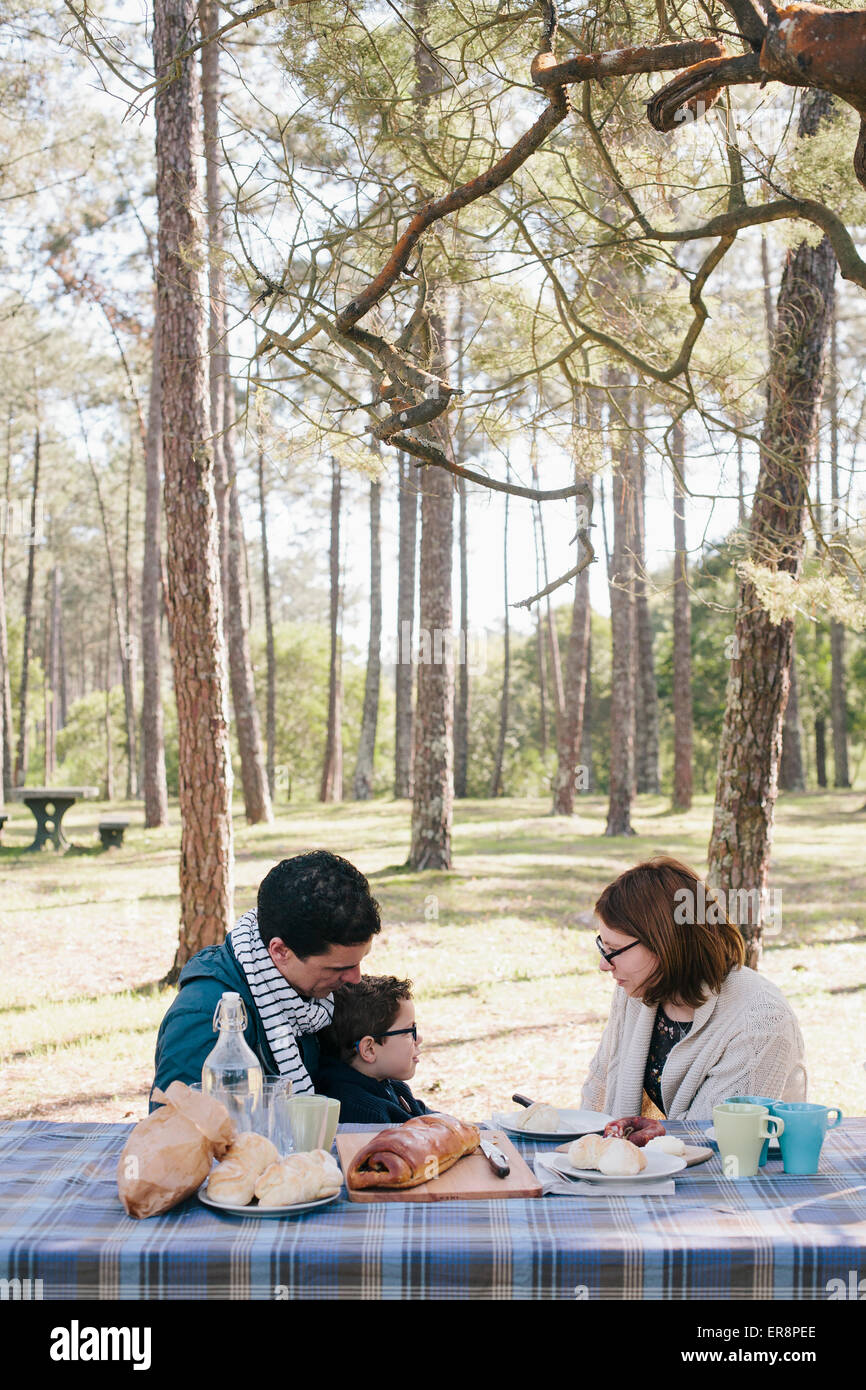 Family picnic table hi-res stock photography and images - Alamy