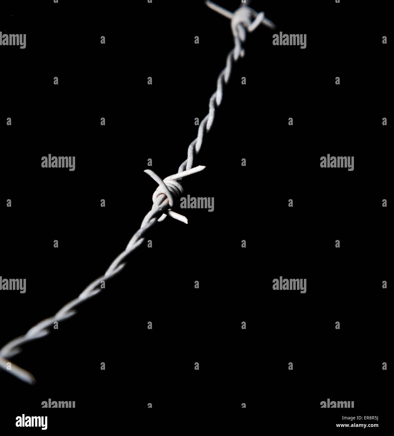 Barbed Wire Close Up Stock Photo Alamy