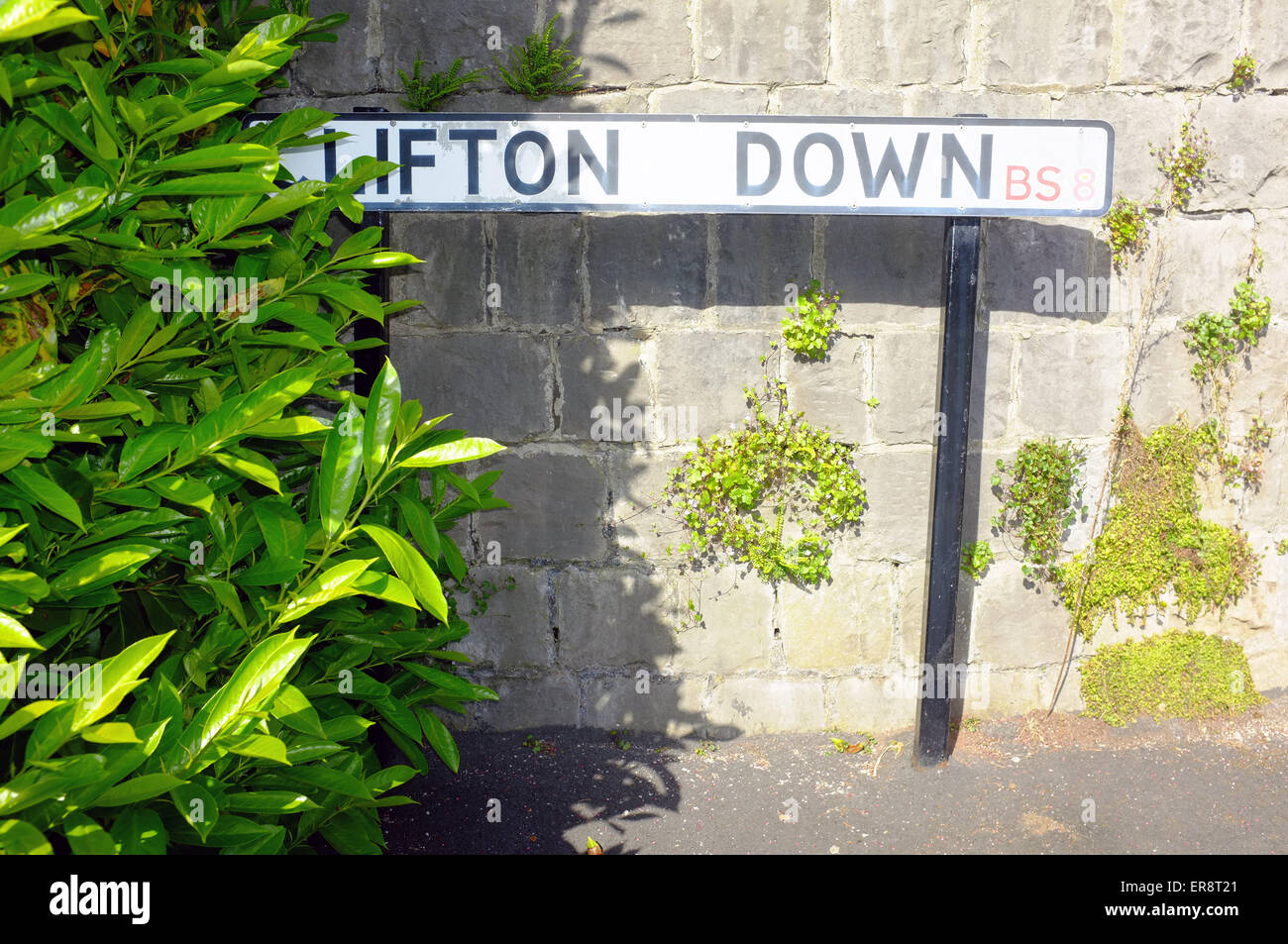 A road sign for Clifton Down road in Bristol Stock Photo Alamy