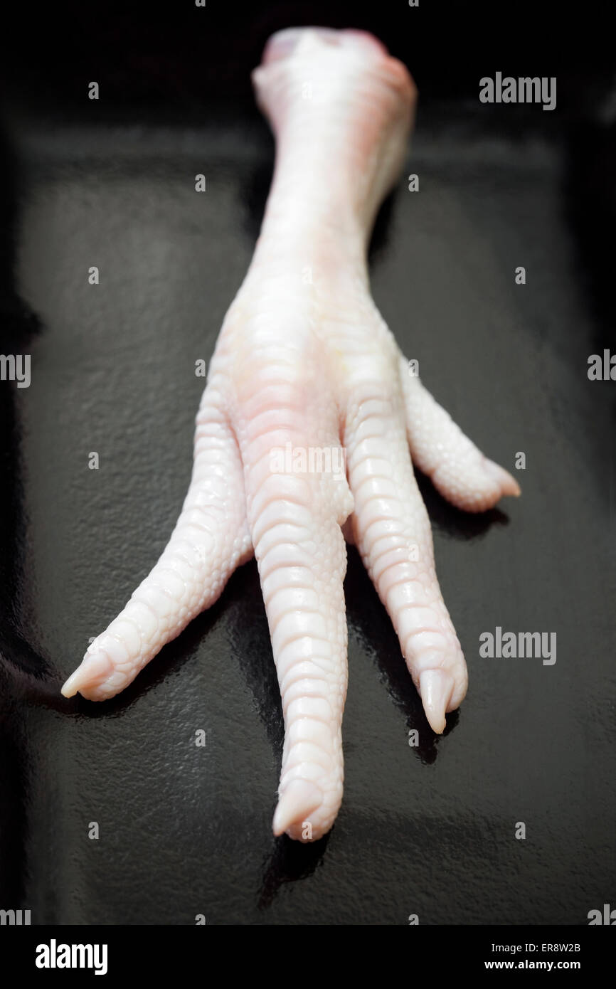 Raw Chicken Foot Stock Photo Alamy
