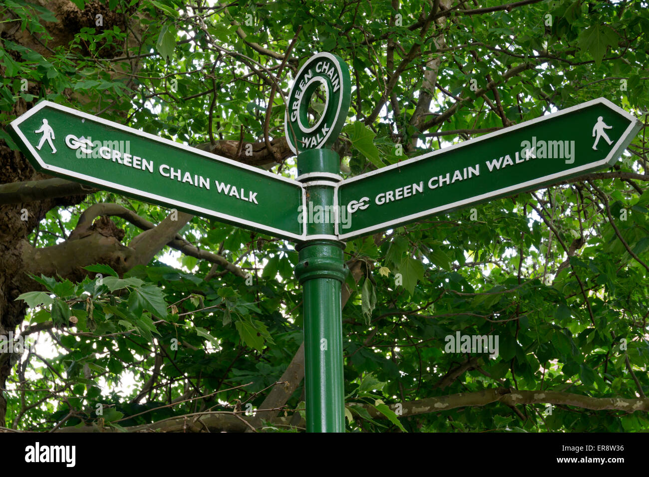A sign for the Green Chain Walk in Ravensbourne Woods, South London Stock Photo