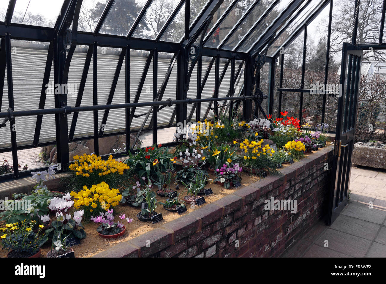 RHS WISLEY THE ALPINE HOUSE RAISED BEDS Stock Photo