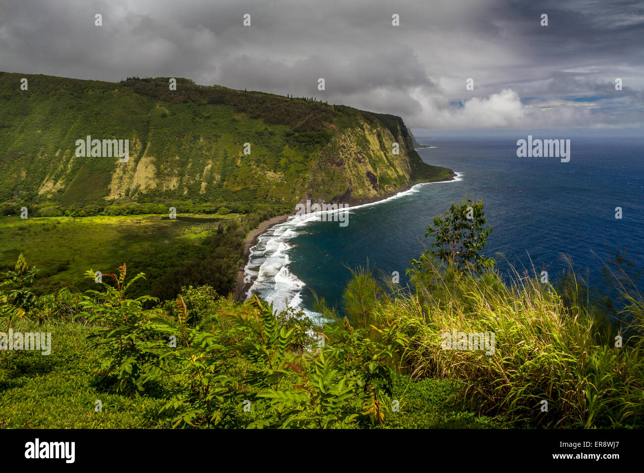 Tsunami waipio valley hawaii