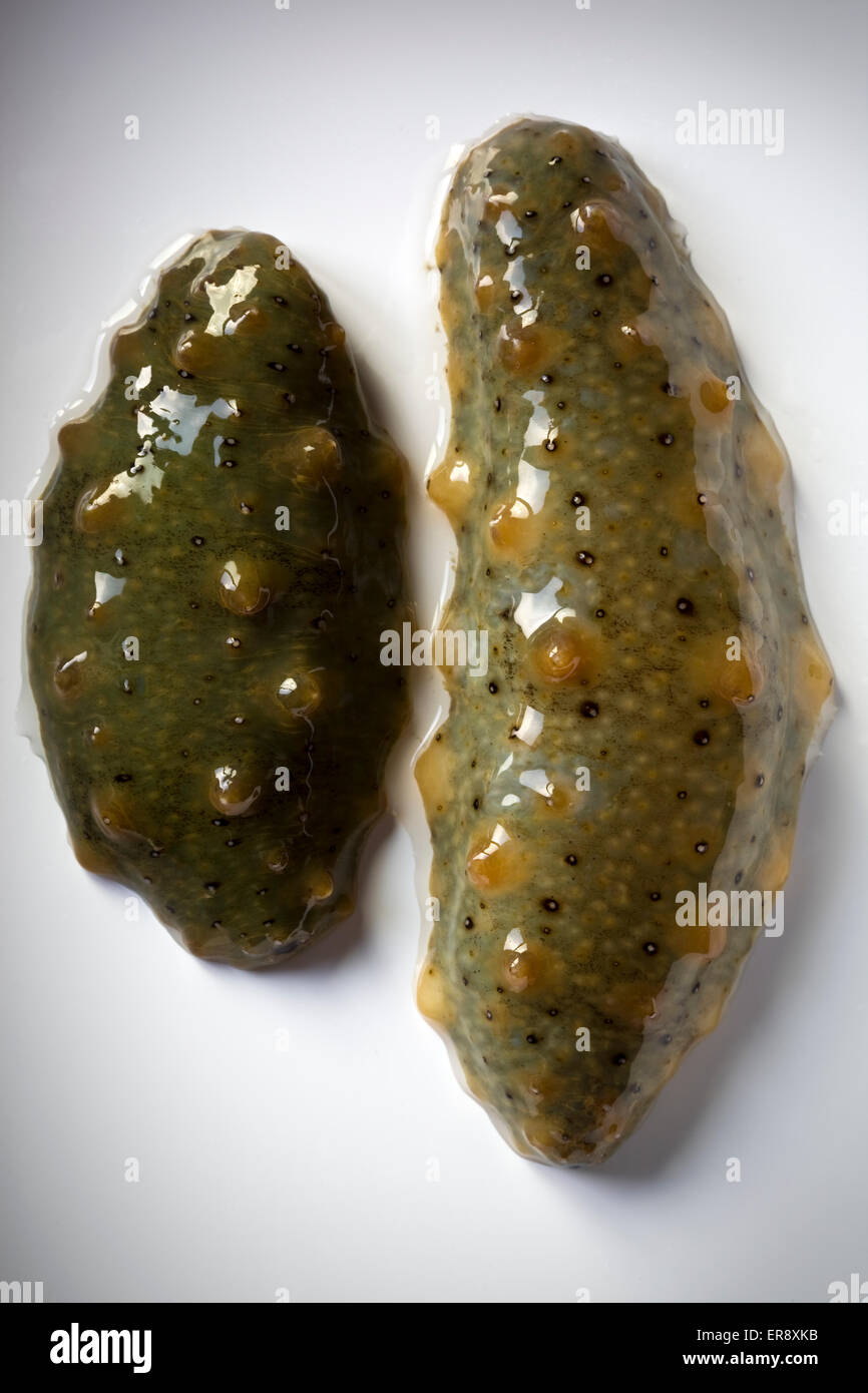Sea Cucumbers a delicacy in China and other parts of Asia Stock Photo Alamy