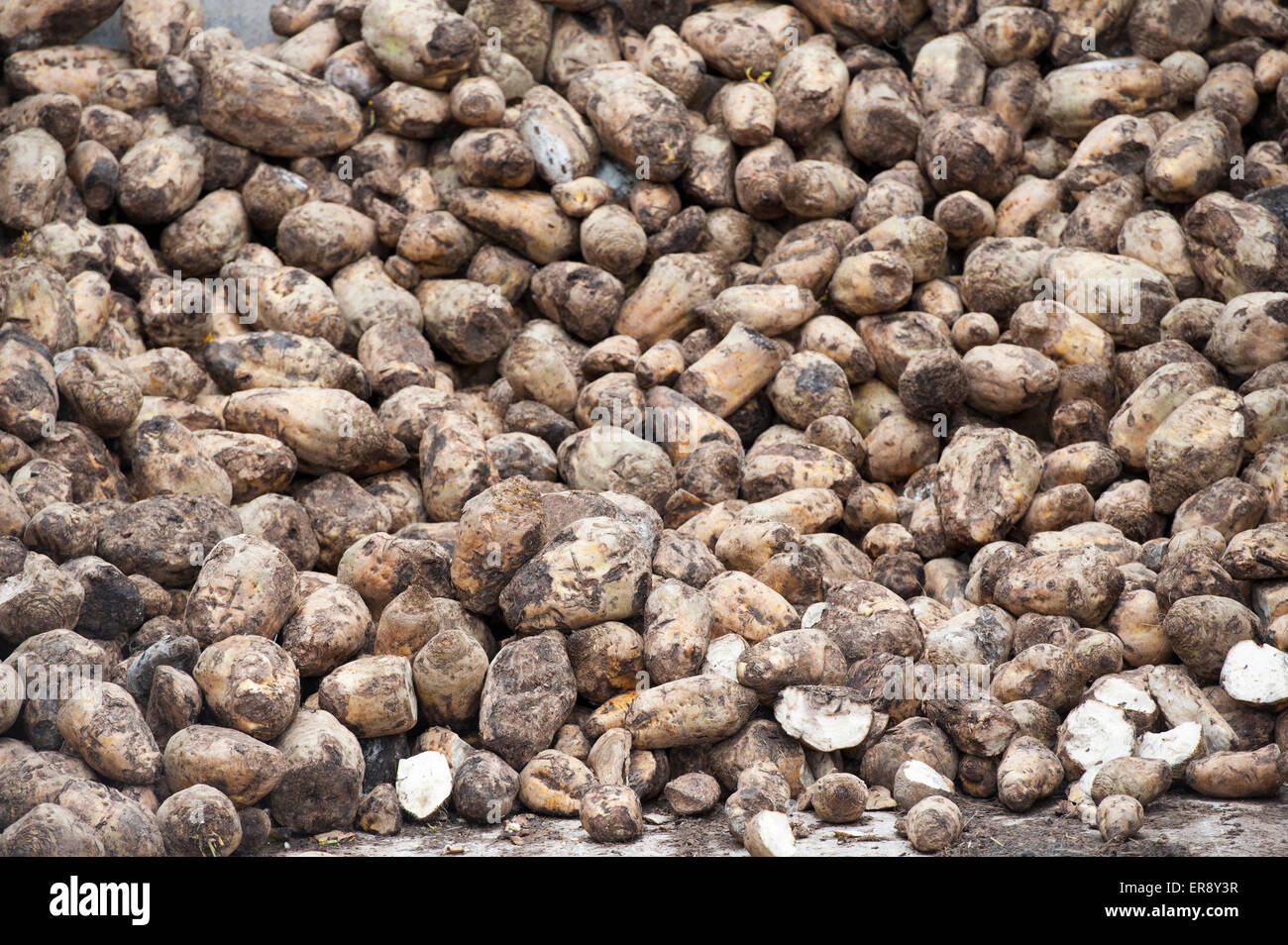 Mix fodder hi-res stock photography and images - Alamy