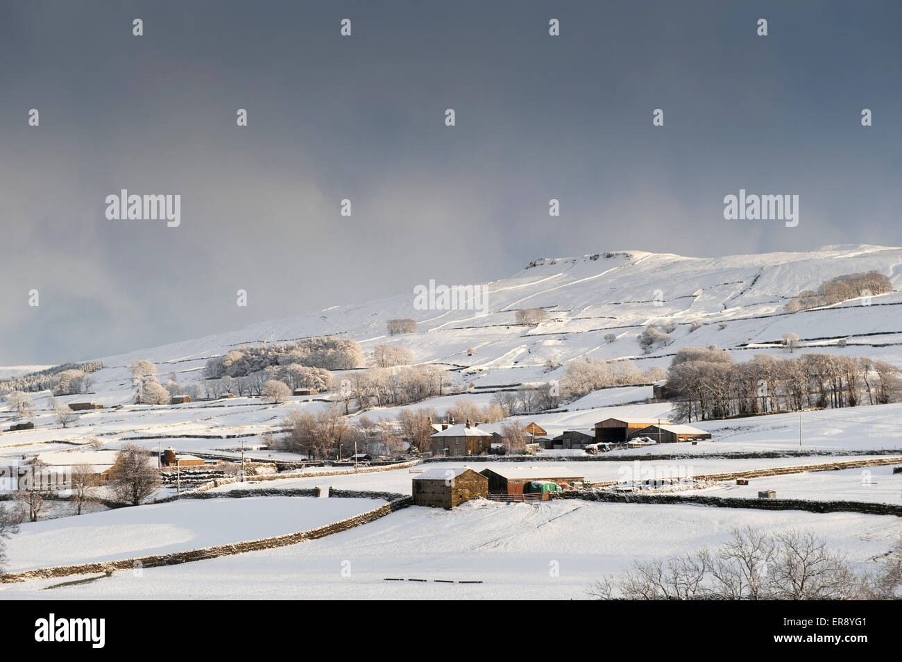Wensleydale in the aftermath of a very heavy snow shower, near Hawes, UK. Stock Photo