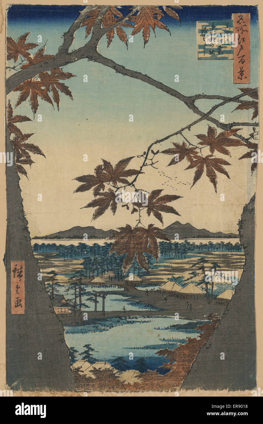 Maple trees at Mama, Tekona Shrine and Linked Bridge Stock Photo