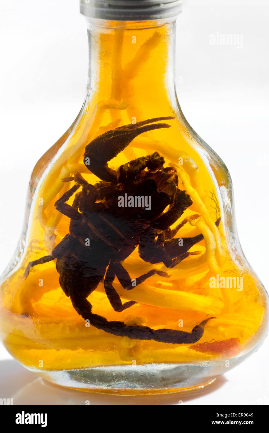 Bottle of Scorpion Whisky Stock Photo - Alamy