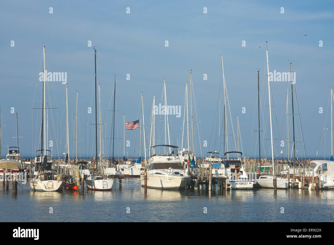 Sail boats docked at a marina, Milwaukee, Wisconsin Stock Photo Alamy