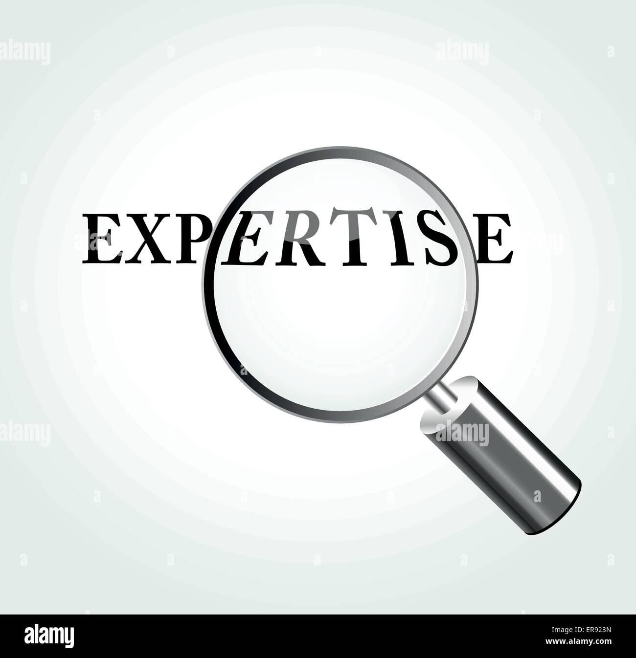 Vector illustration of expertise concept with magnifying Stock Vector