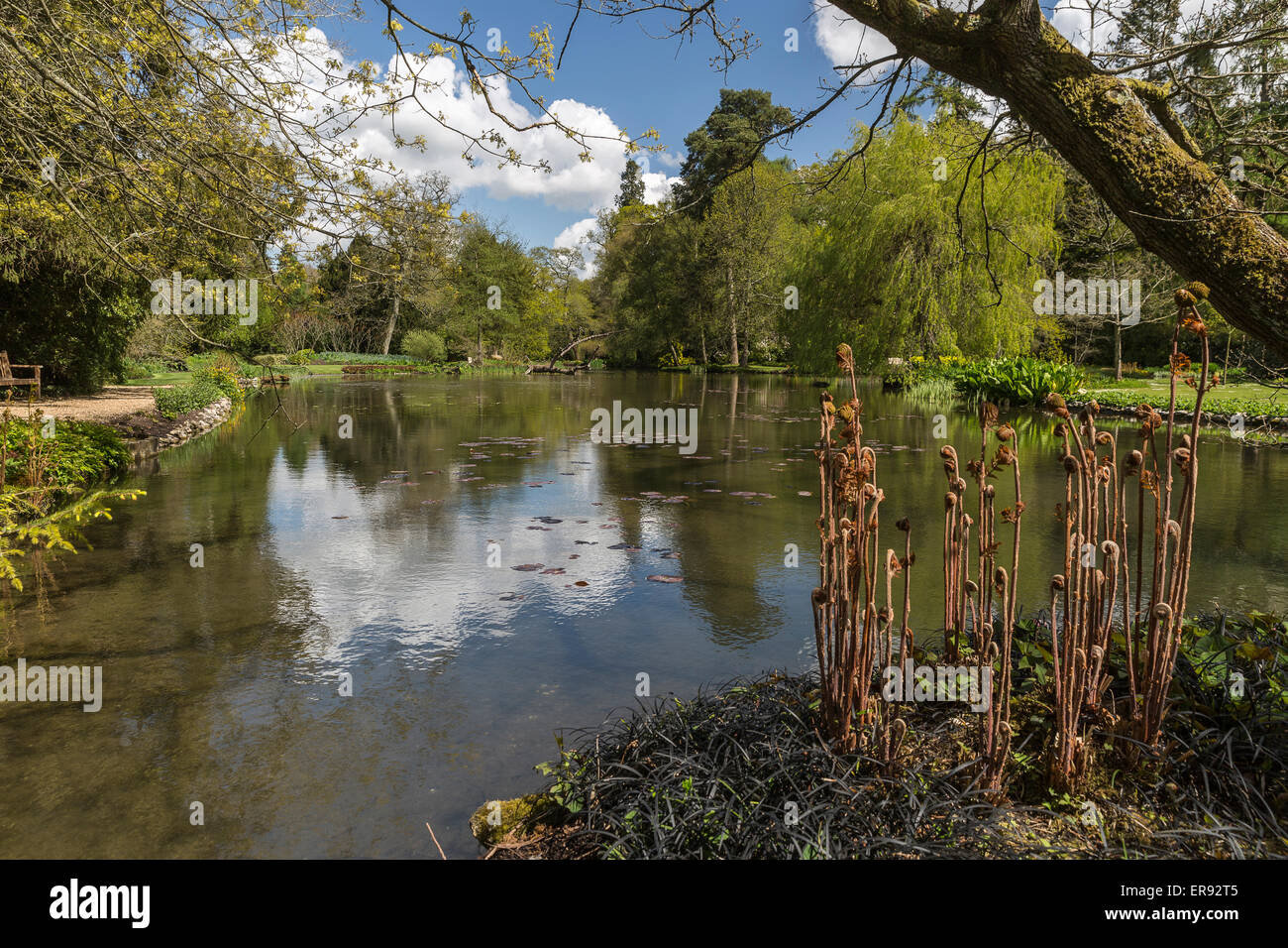 Longstock Park Water Garden, John Lewis Leckford Estate, Stockbridge