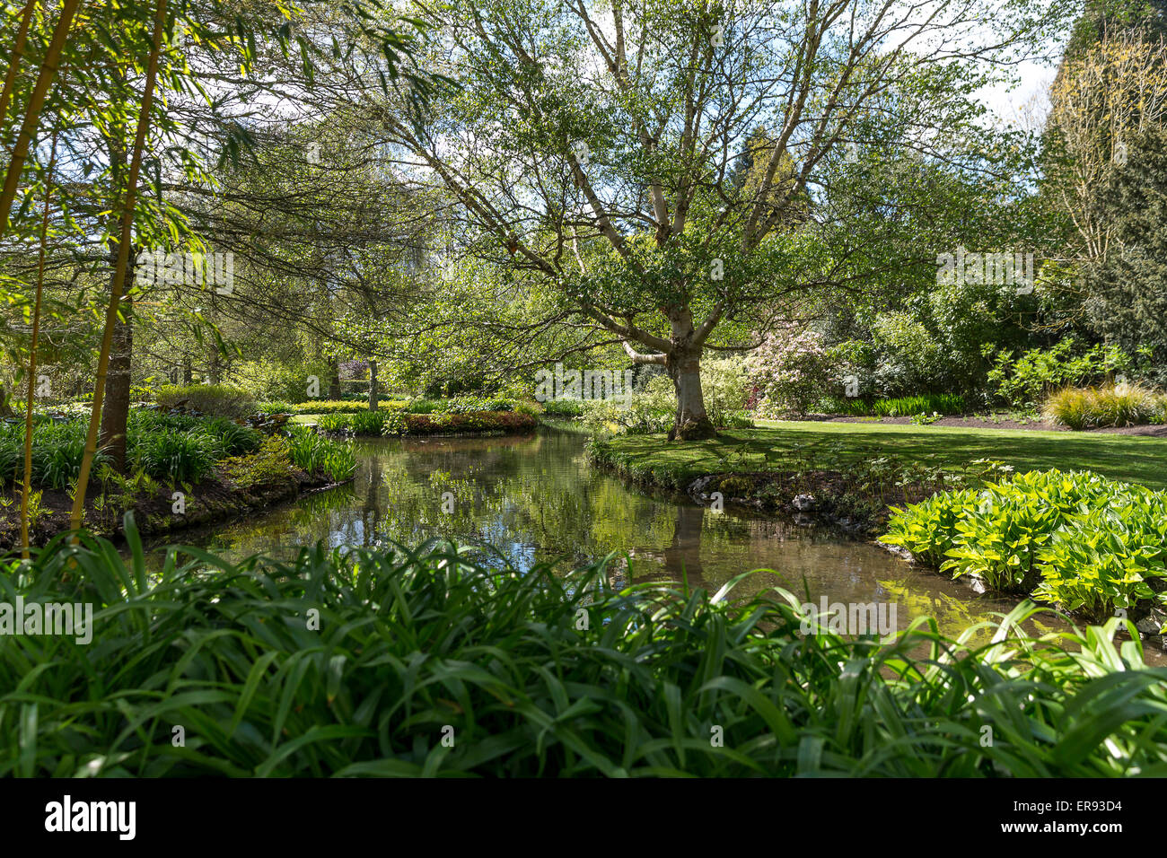 Longstock Park Water Garden, John Lewis Leckford Estate, Stockbridge