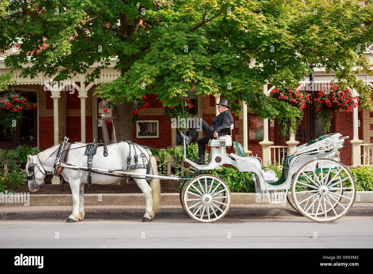 Horse-drawn carriage, Niagara-on-the-Lake, Ontario, Canada. Stock Photo