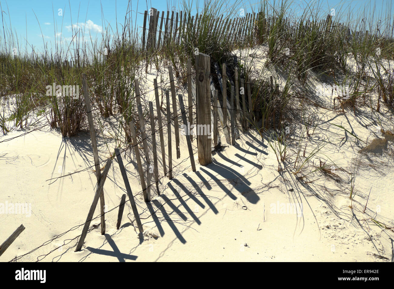 Erosion control fences on the sand dunes of the Fort Morgan peninsula in south Alabama, USA Stock Photo